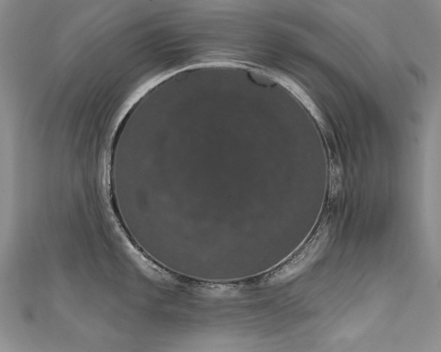 X0000111521101200907141503