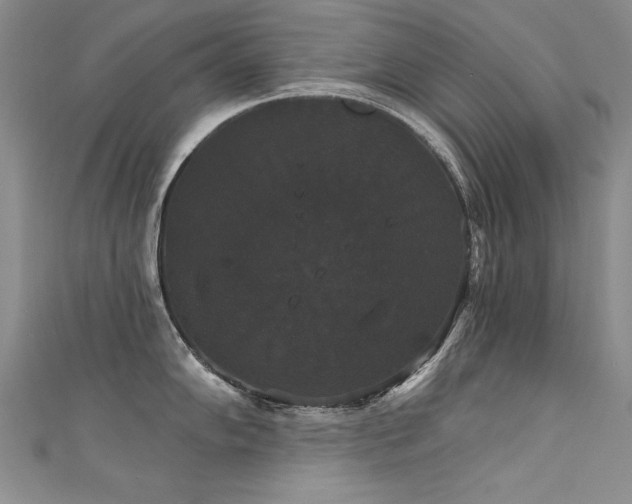 X0000111521102200907141503