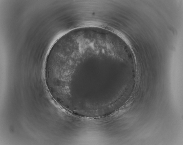 X0000111521104200907141502