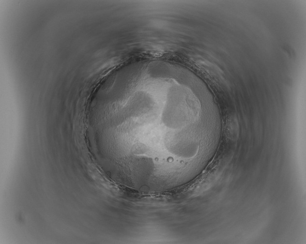 X0000111521105200907141502