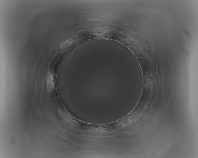 X0000111521106200907141502