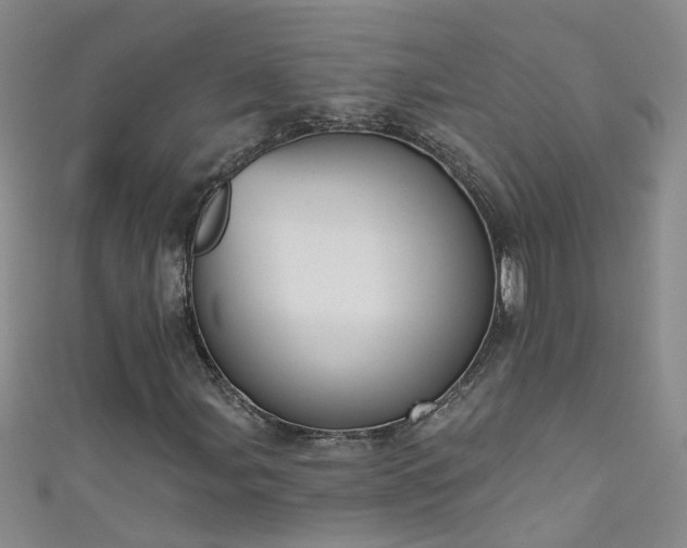 X0000111521107200907141502