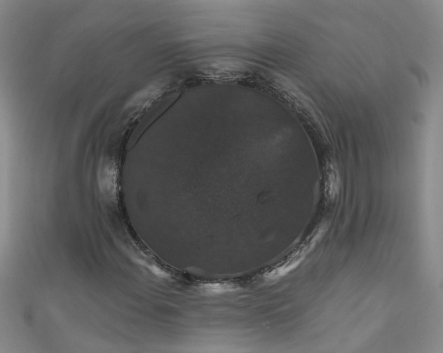 X0000111521108200907141502