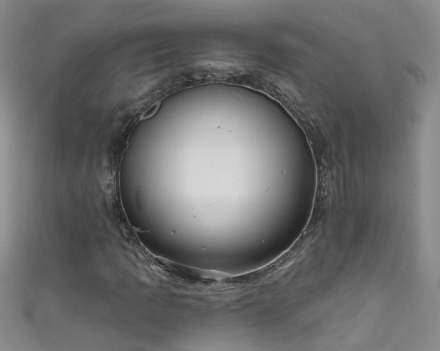 X0000111521109200907141502
