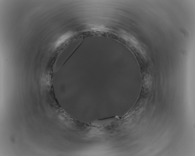 X0000111521110200907141502