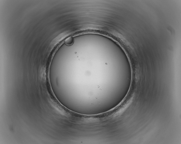 X0000111521113200907141502