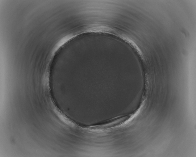 X0000111521114200907141502