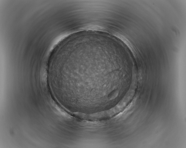 X0000111521115200907141502