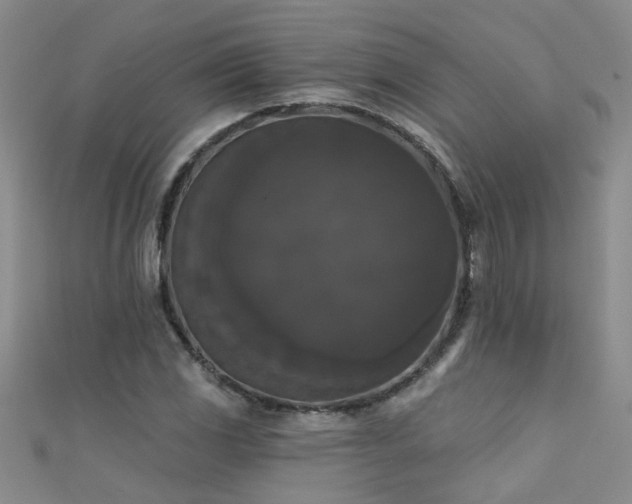X0000111521117200907141502