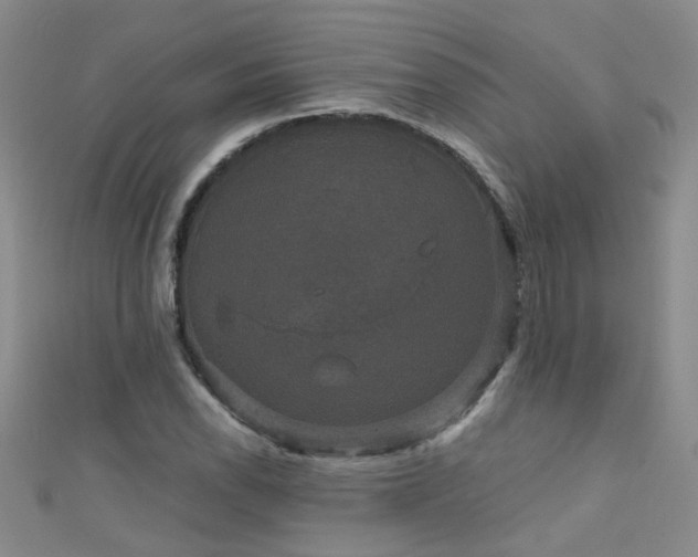 X0000111521118200907141502