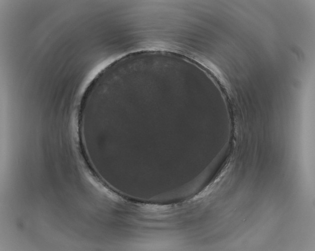 X0000111521120200907141502