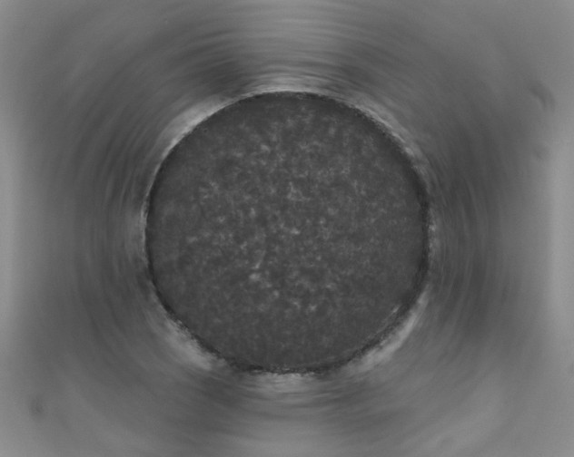 X0000111521121200907141502