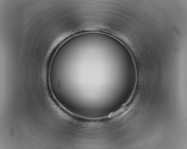 X0000111521122200907141502