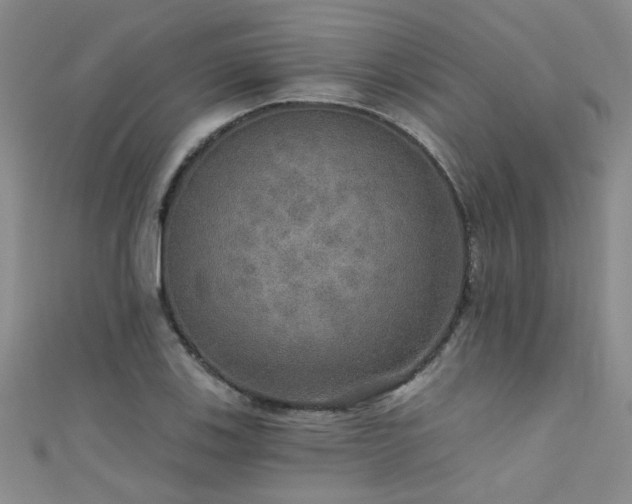 X0000111521123200907141502