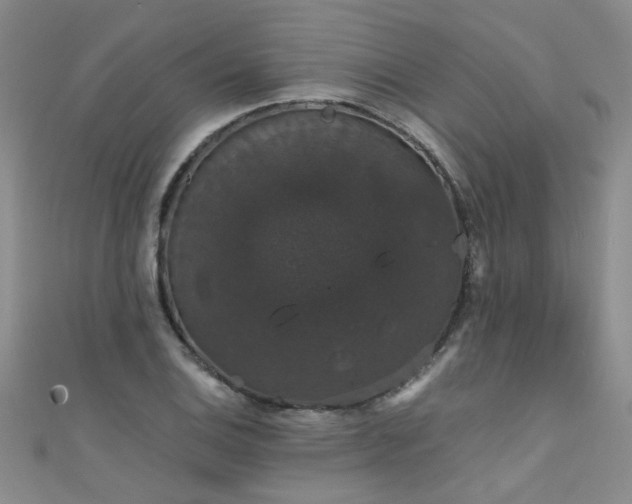 X0000111521124200907141502