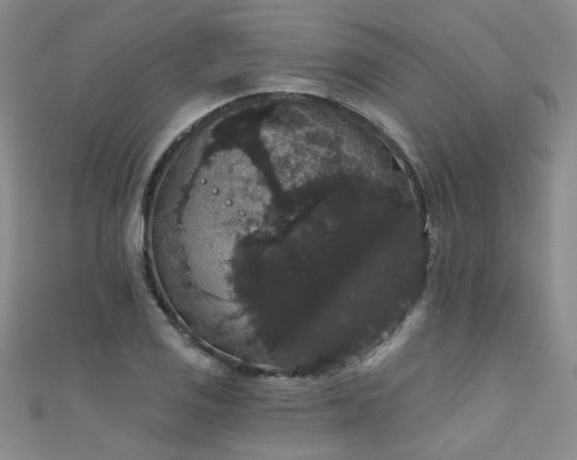 X0000111521125200907141502