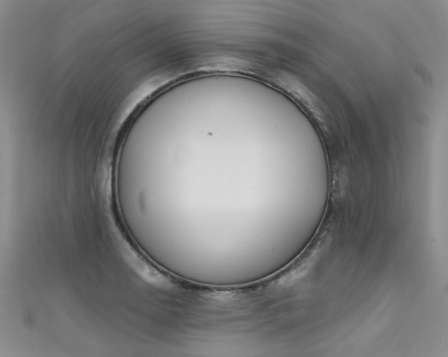 X0000111521130200907141502