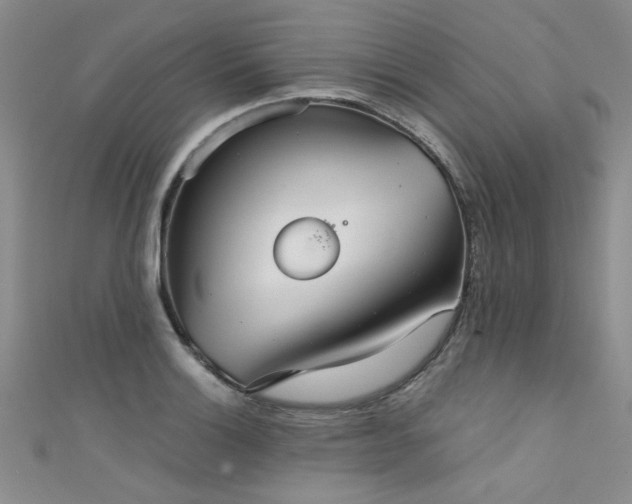 X0000111521132200907141502
