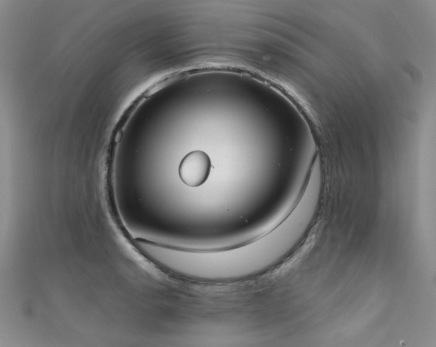 X0000111521134200907141502