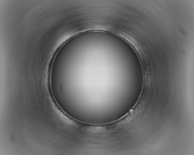 X0000111521135200907141502