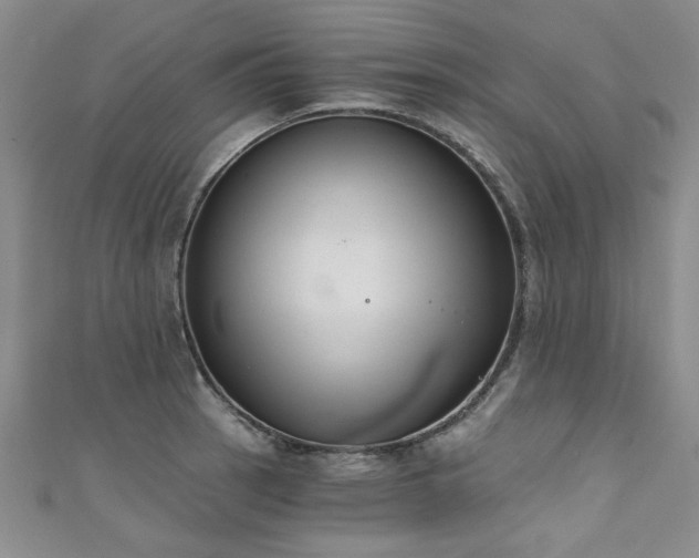 X0000111521137200907141502