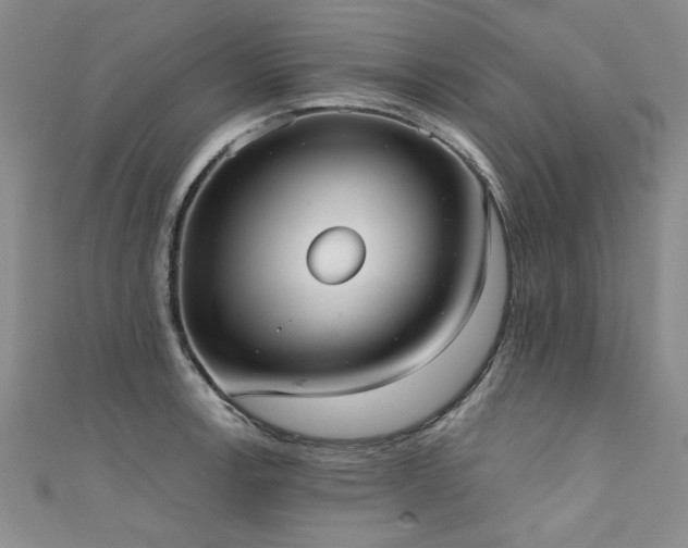 X0000111521138200907141502
