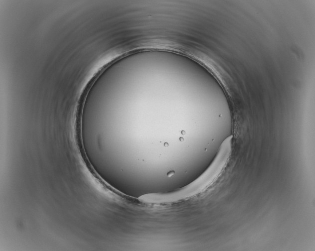 X0000111521139200907141502