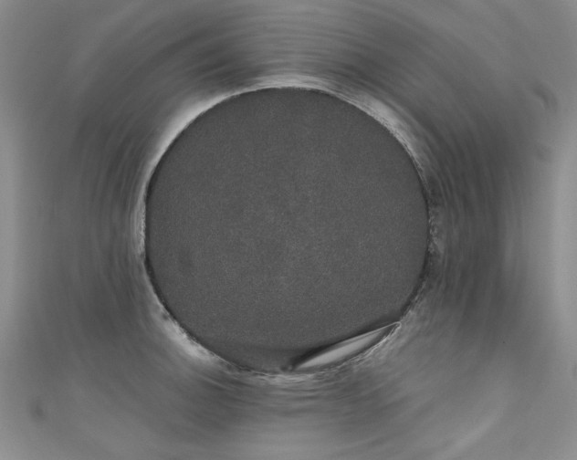 X0000111521140200907141502