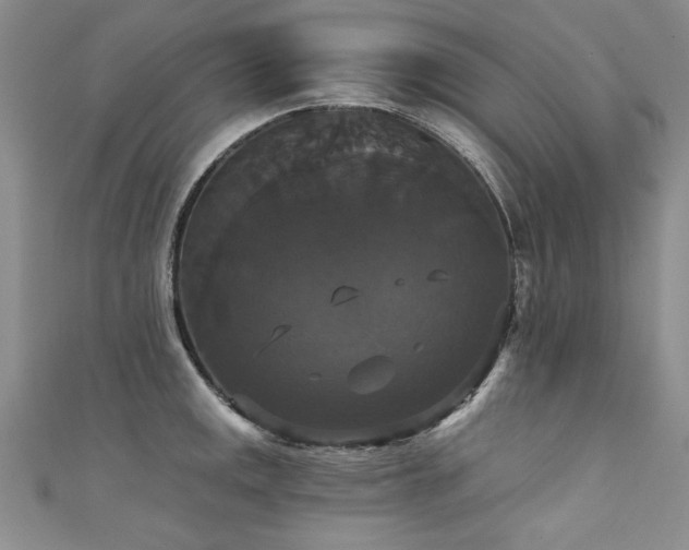 X0000111521141200907141502