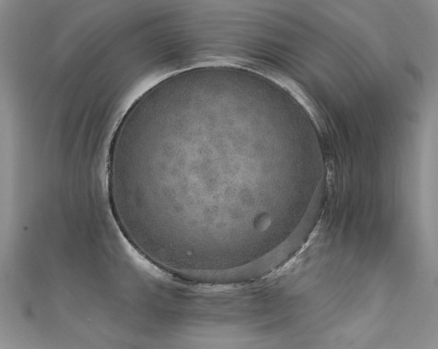 X0000111521143200907141502