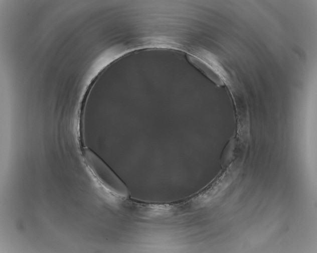 X0000111521144200907141502