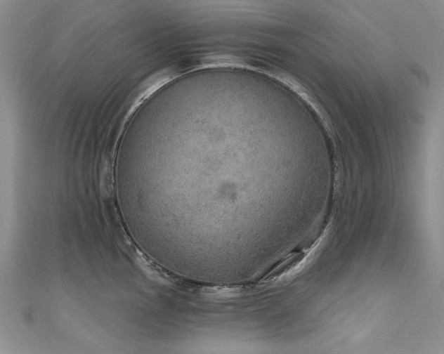 X0000111521145200907141502