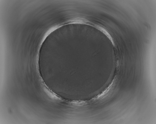 X0000111521146200907141502