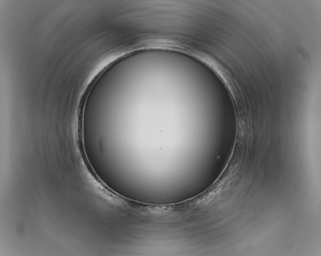 X0000111521147200907141502