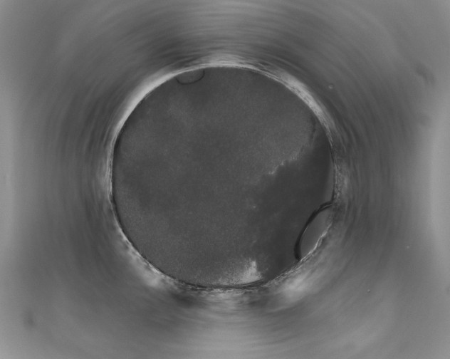 X0000111521148200907141502