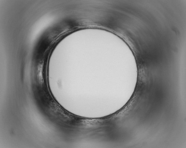 X0000111521150200907141502