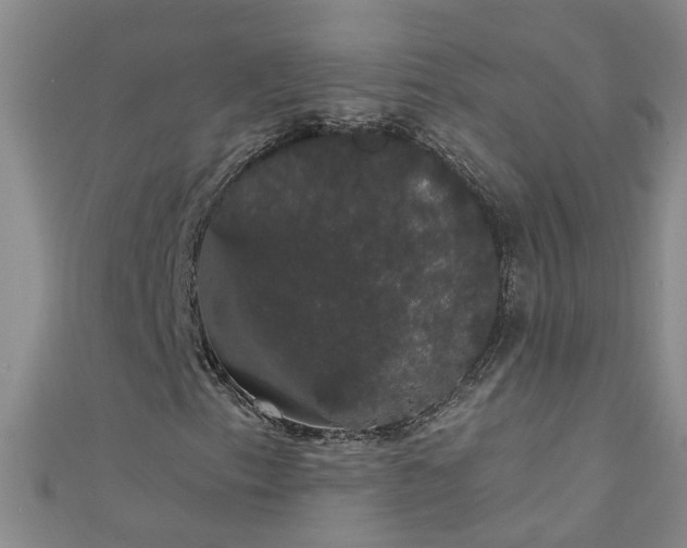 X0000111521153200907141502