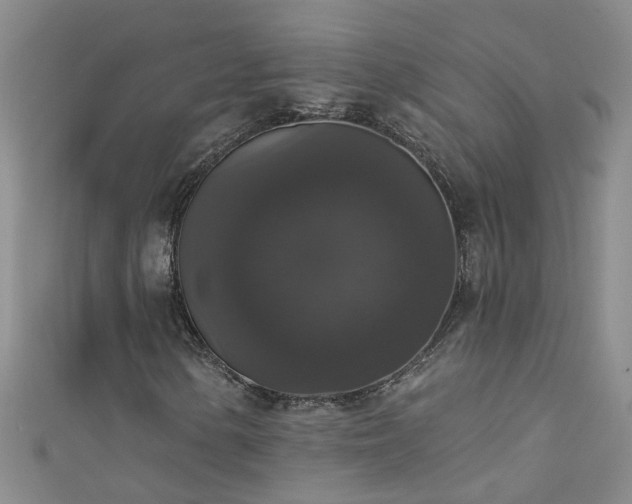 X0000111521154200907141502