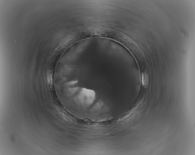 X0000111521155200907141502