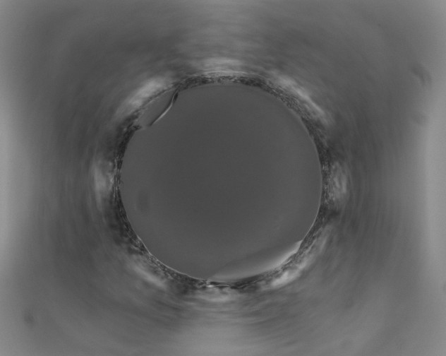 X0000111521157200907141502