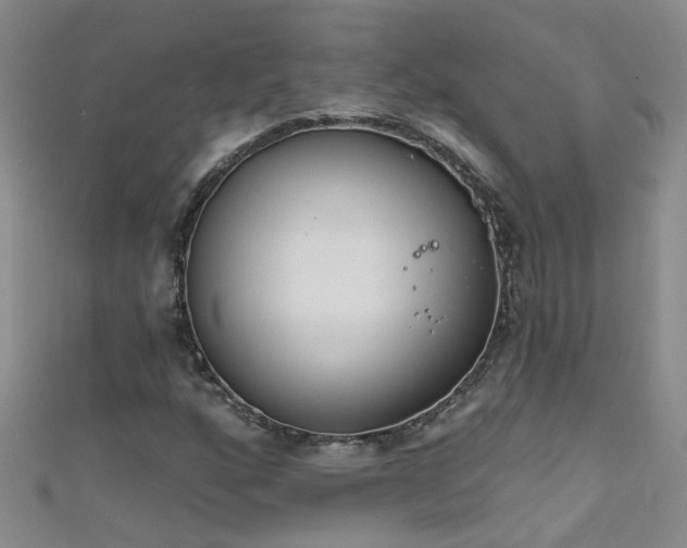 X0000111521160200907141502