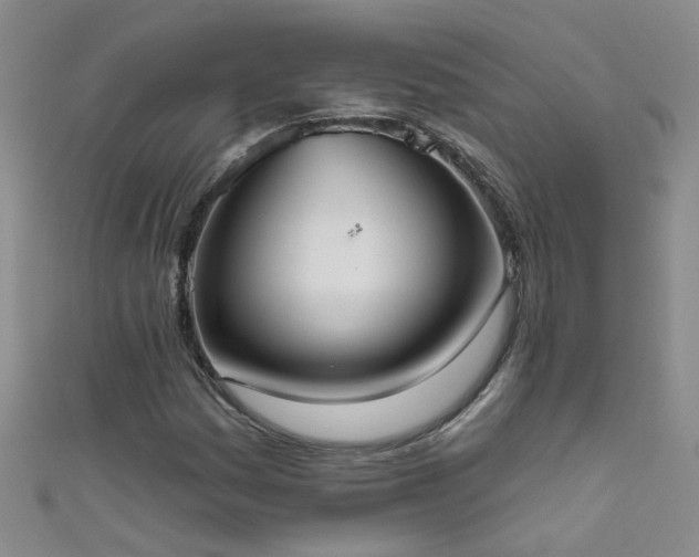 X0000111521161200907141502