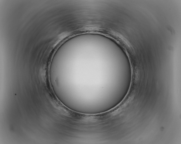 X0000111521162200907141502