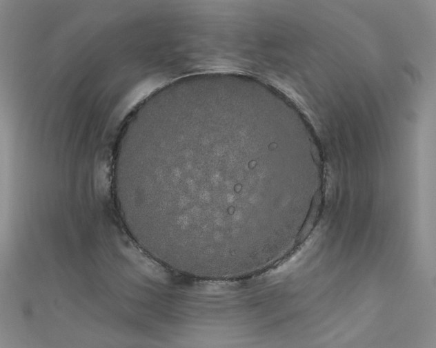 X0000111521163200907141502
