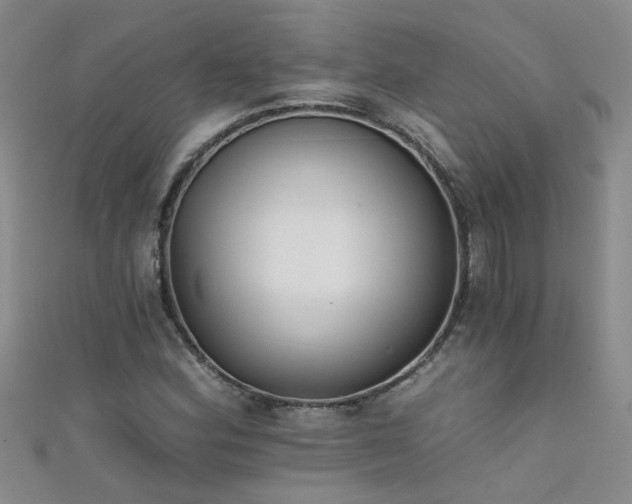 X0000111521164200907141502