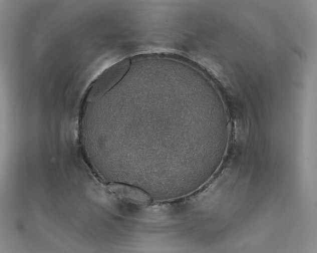 X0000111521165200907141502