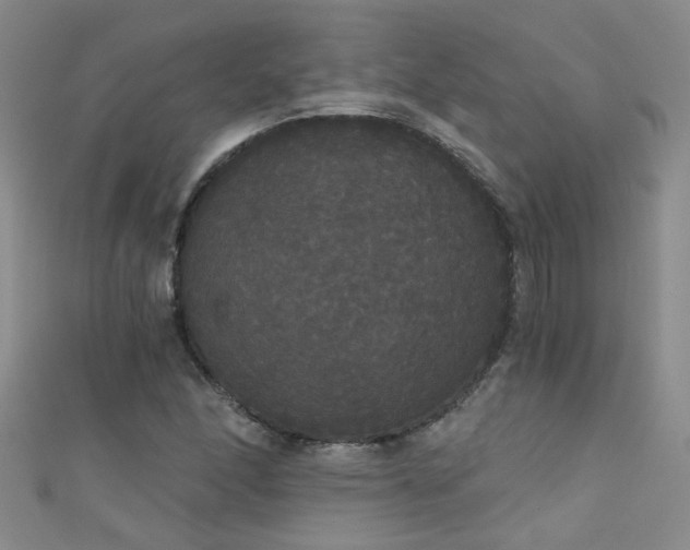 X0000111521166200907141502