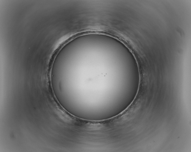 X0000111521168200907141502