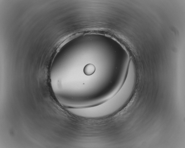 X0000111521169200907141502