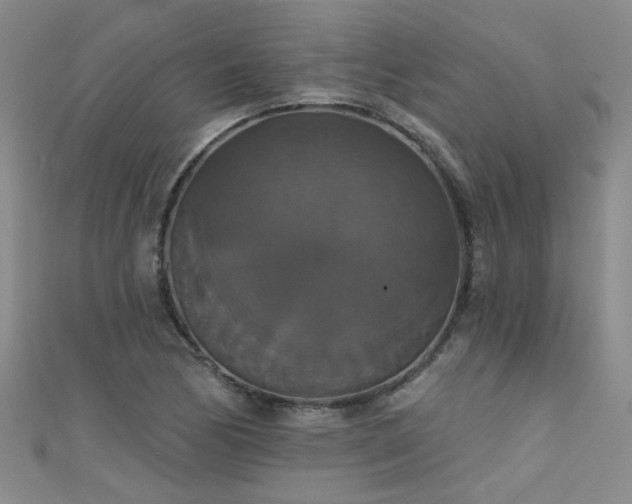 X0000111521170200907141502